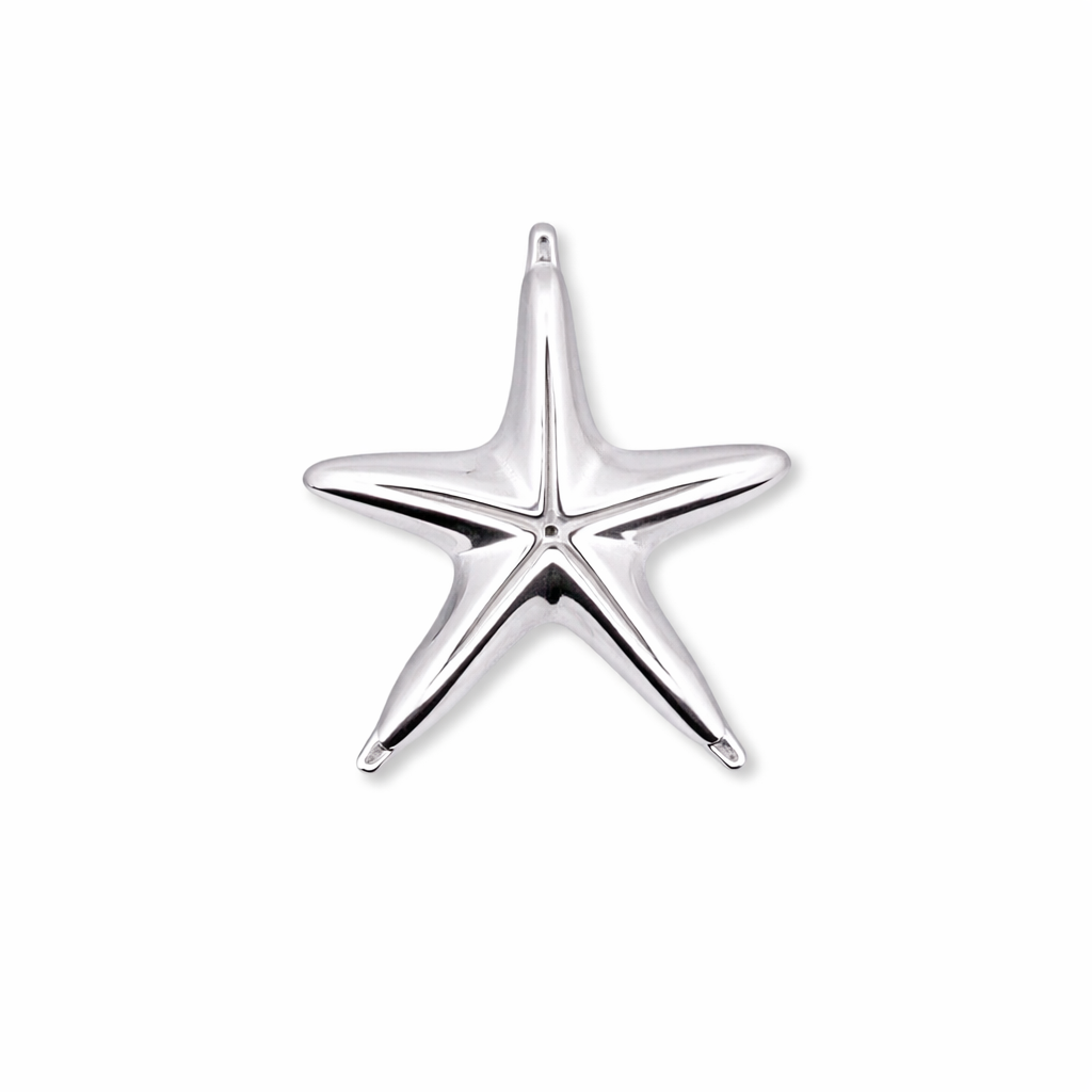 silver-starfish