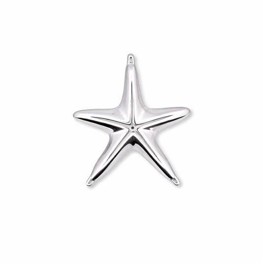 silver-starfish