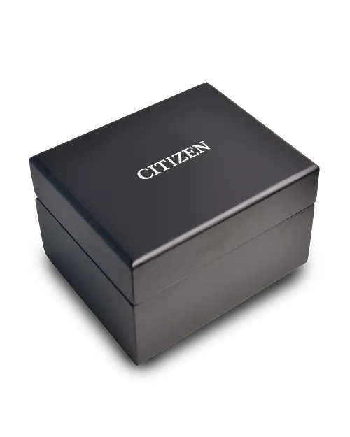 Citizen Series8 880 Gmt NB6034-58L